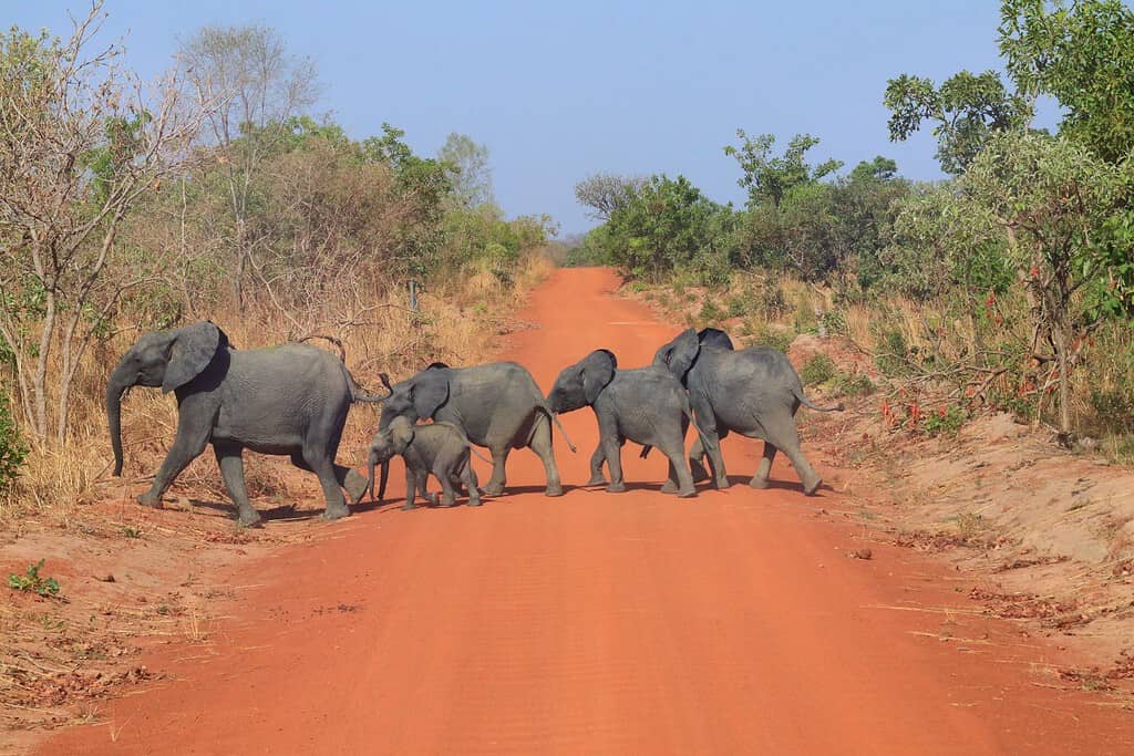 Tours in Burkina Faso Africa Tours in Burkina Faso