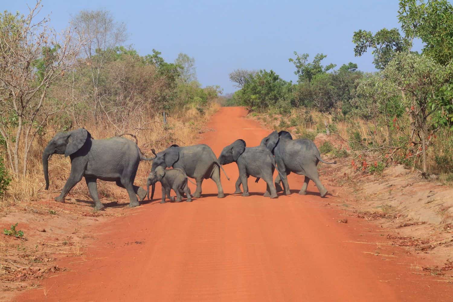 Burkina Faso Tours 2025 | Private Trips & Small Groups