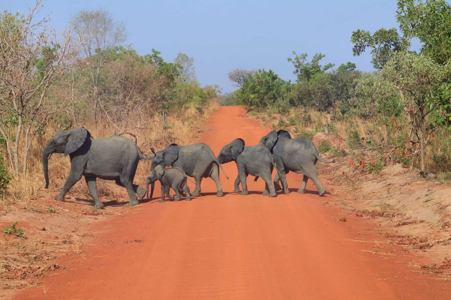 Tours in Burkina Faso