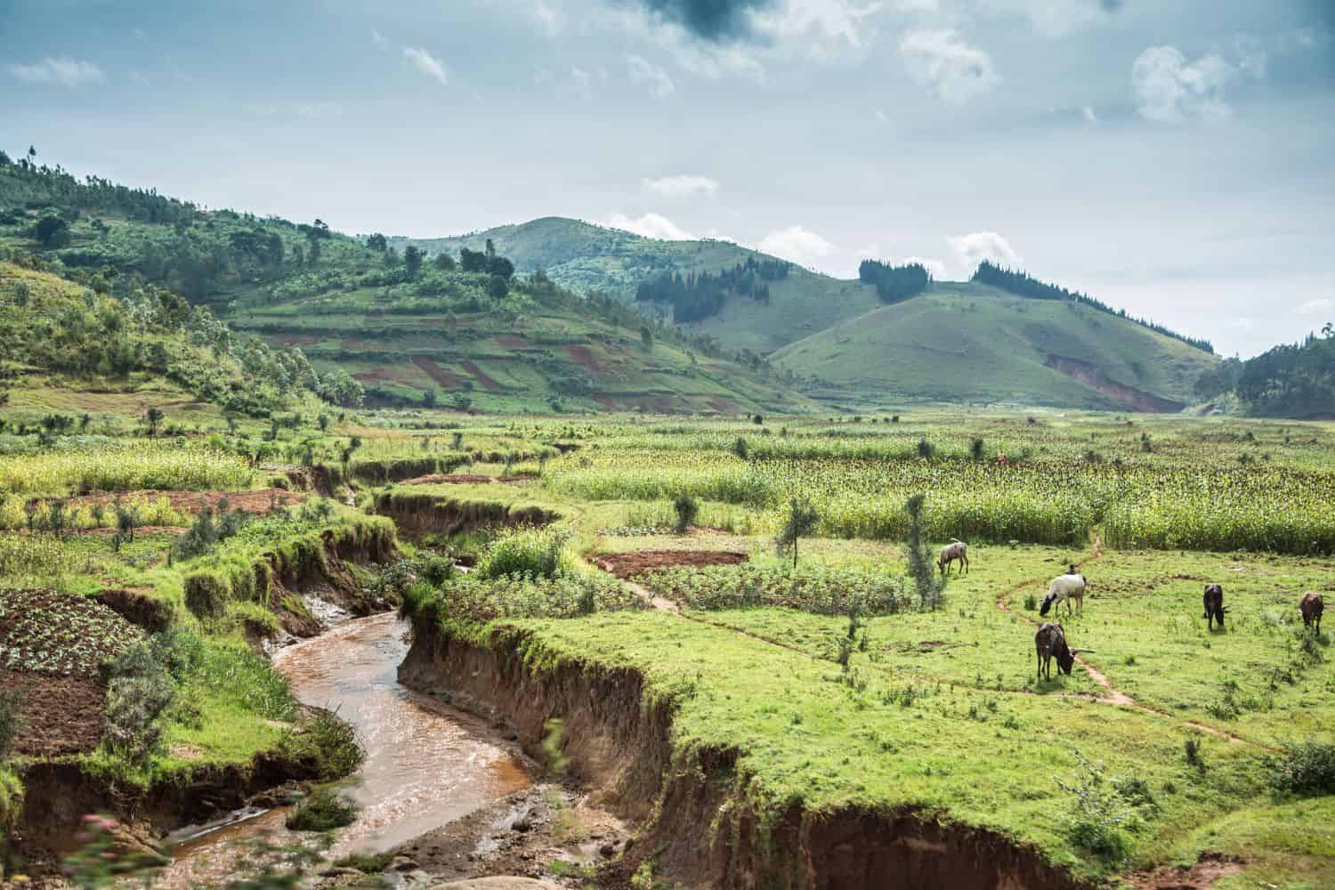 Tours in Burundi