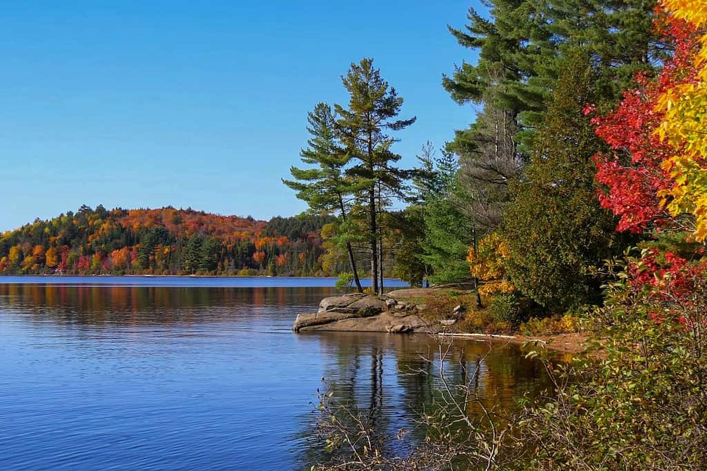 Algonquin Provincial Park Travel Destinations, Americas Algonquin Provincial Park