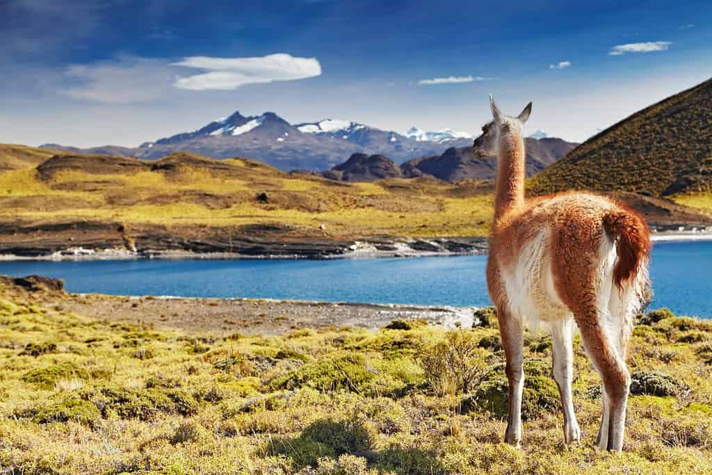 Andes Mountains Travel Destinations, Americas Andes Mountains