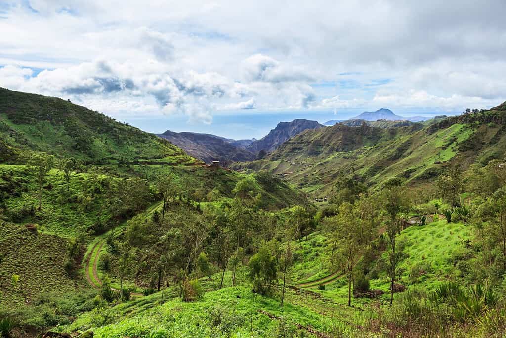 Forests of Serra da Malagueta Travel Destinations, Africa Forests of Serra da Malagueta
