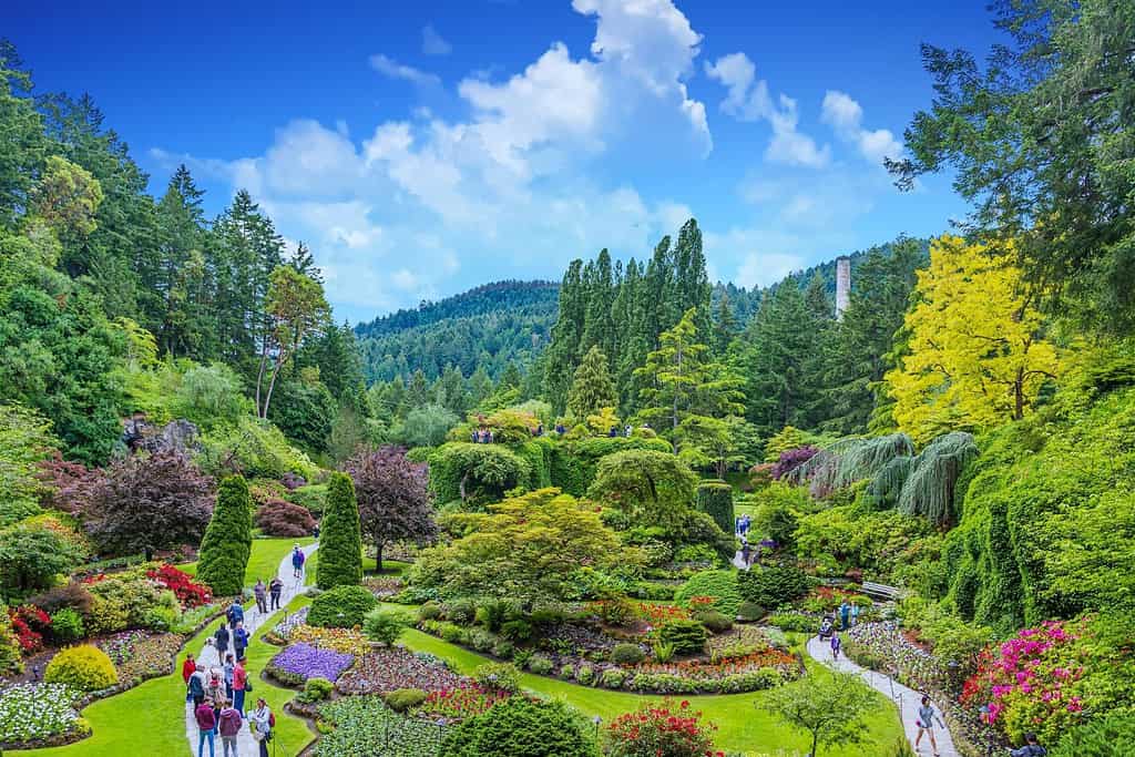 Gardens of Butchart Gardens in Victoria Travel Destinations, Americas Gardens of Butchart Gardens in Victoria