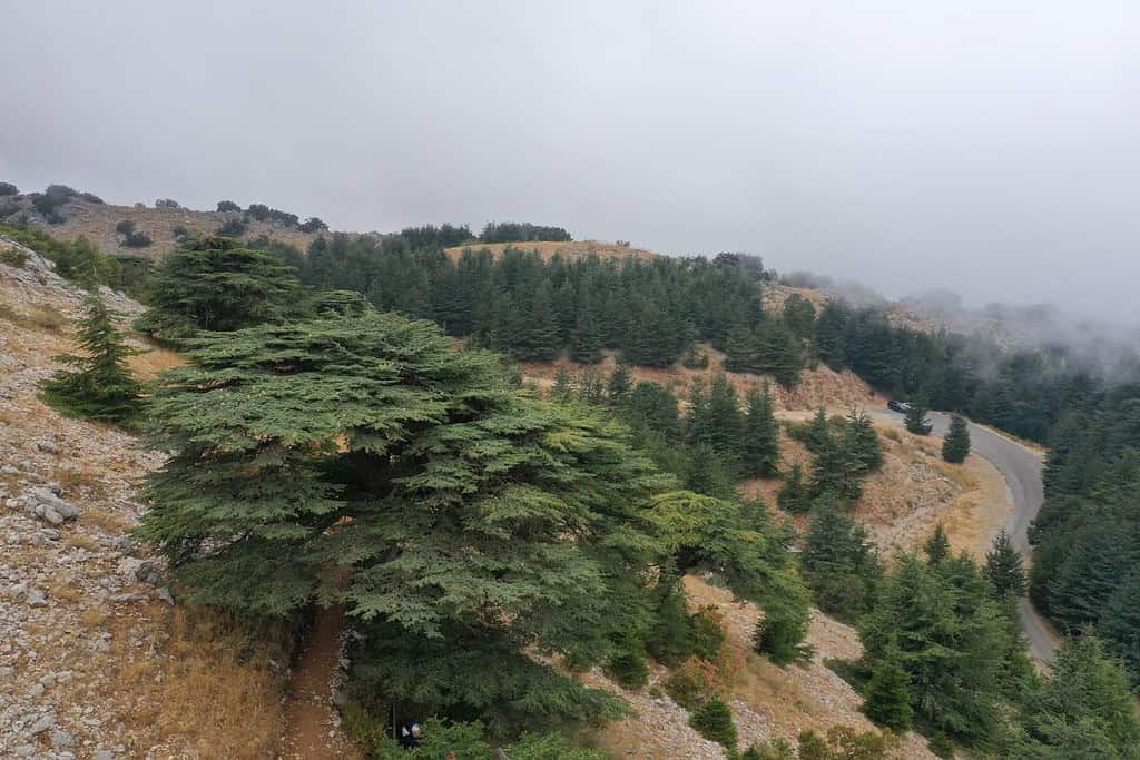 Geography of Lebanon 2 Geography Geography of Lebanon