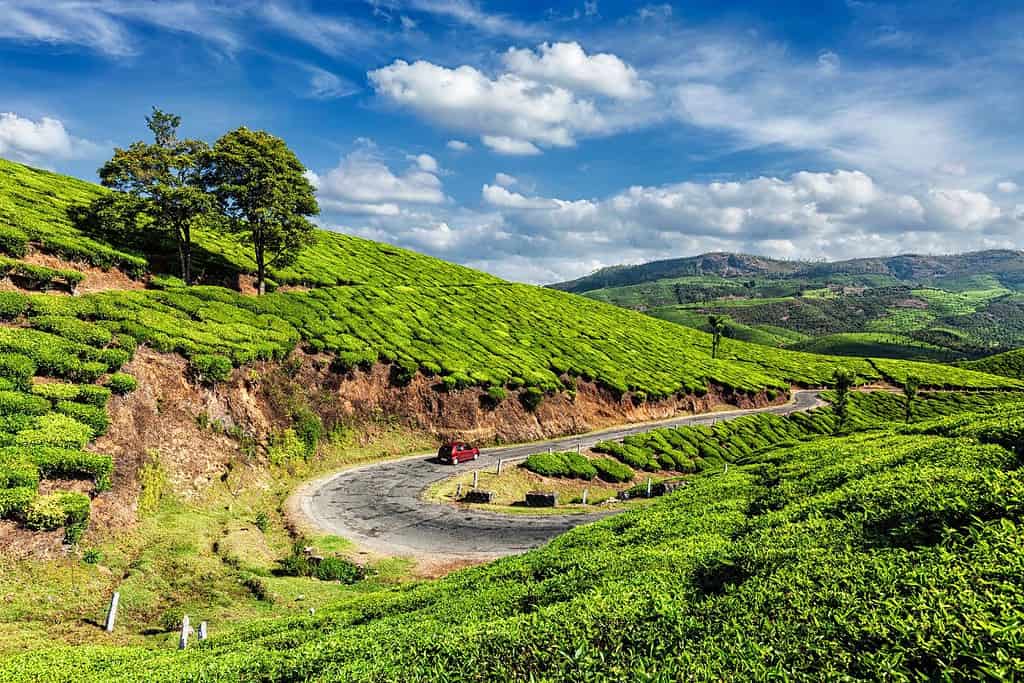 India Geography Geography of India India