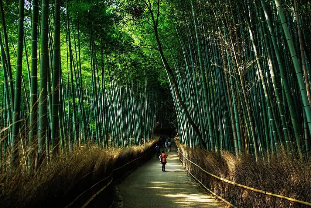 Japan Geography Geography of Japan