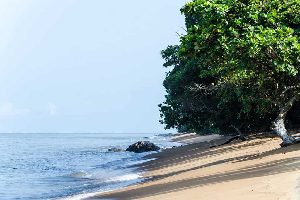 Kribi Beaches Travel Destinations, Africa Kribi Beaches