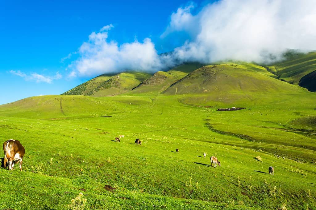 Kyrgyzstan Geography Geography of Kyrgyzstan