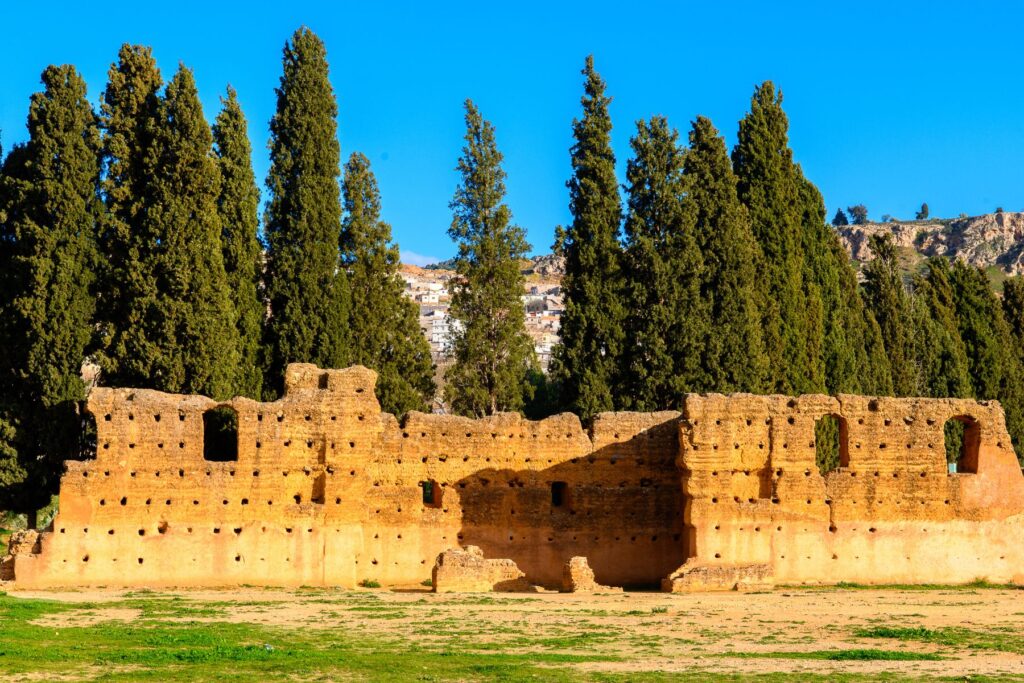 Ruins of El Mansourah
