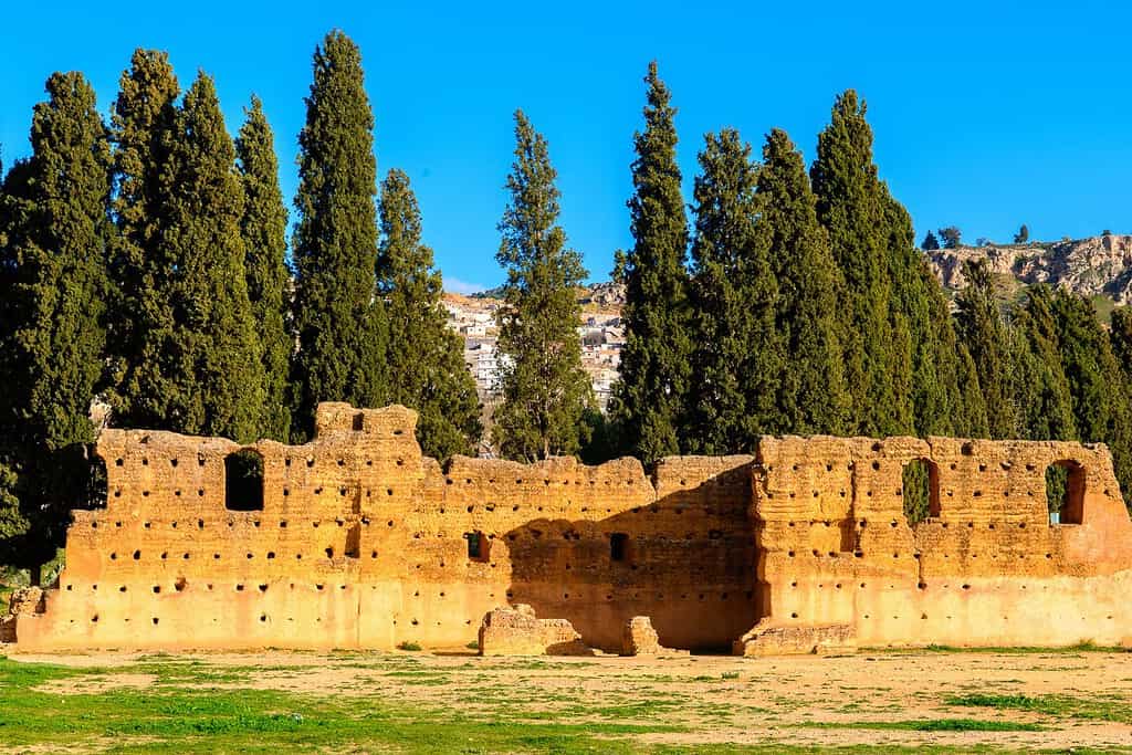 Ruins of El Mansourah