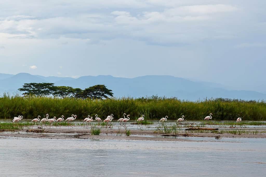Rusizi National Park Travel Destinations, Africa Rusizi National Park