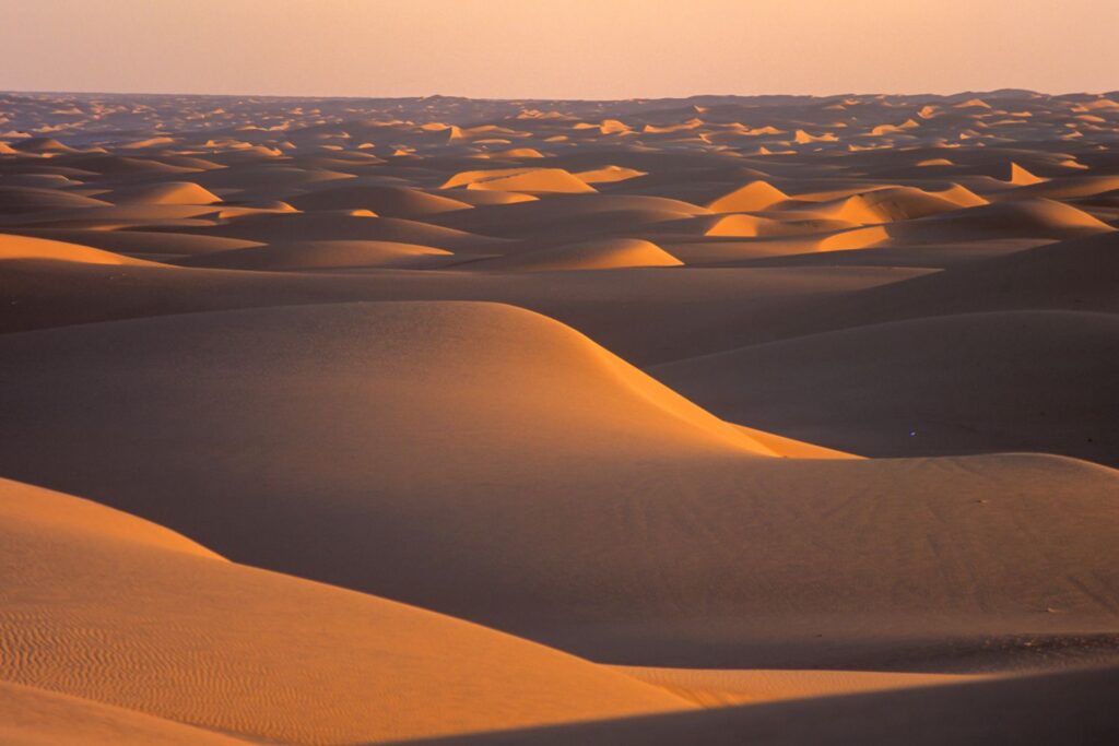 Sahara Desert Oases