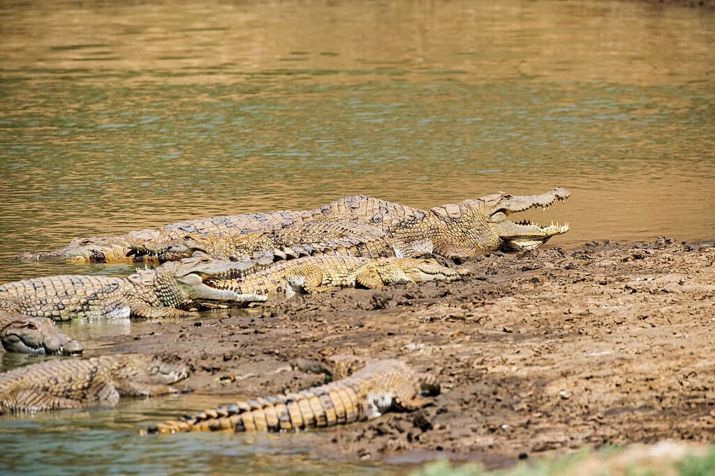 Salamat River Travel Destinations, Africa Salamat River