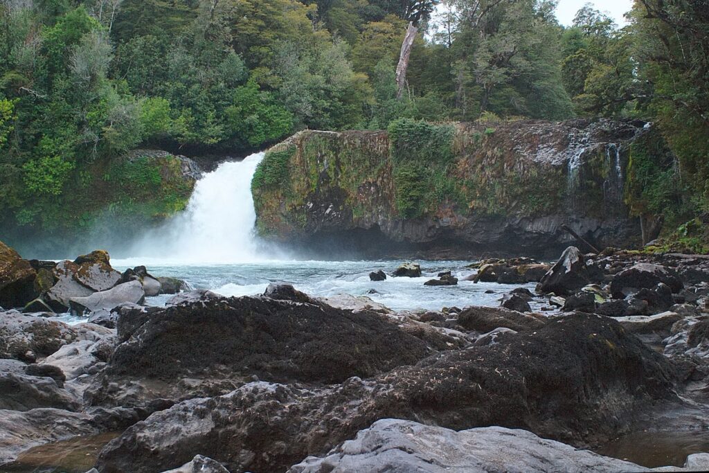 Valdivian Rainforest Travel Destinations, Americas Valdivian Rainforest