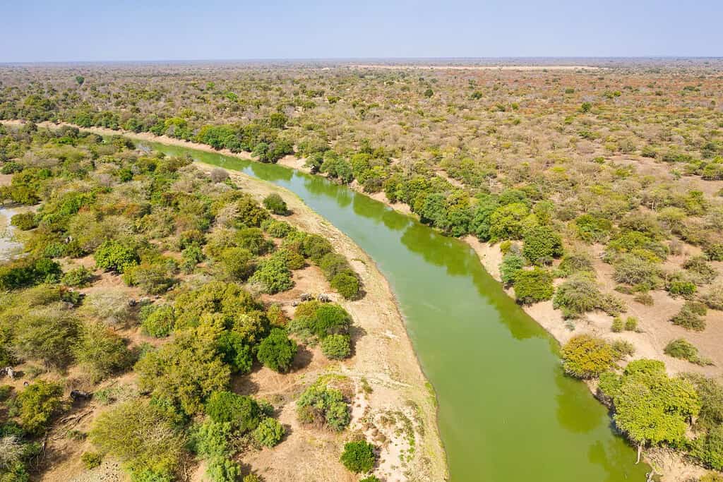 Zakouma National Park Travel Destinations, Africa Zakouma National Park
