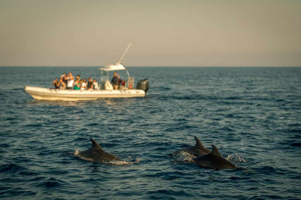 Salalah muscat tour