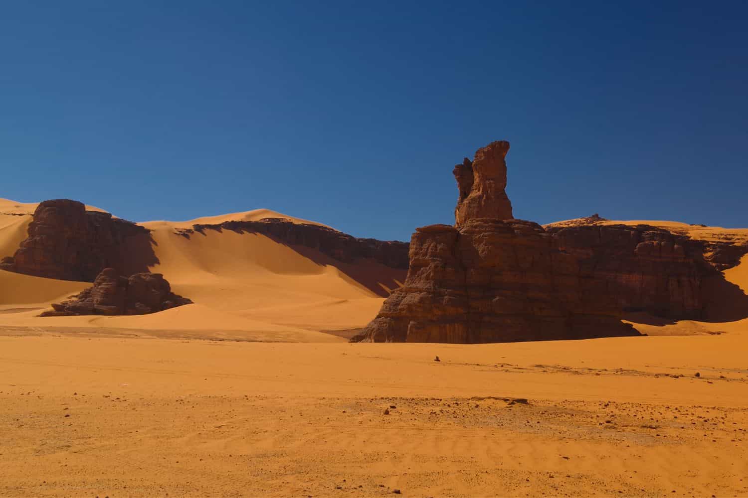 7-day Algeria Group Tour 2024-2025 » Visit Algeria Best #1