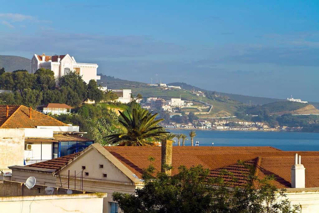 Annaba Algeria, Food Food from Algeria Annaba