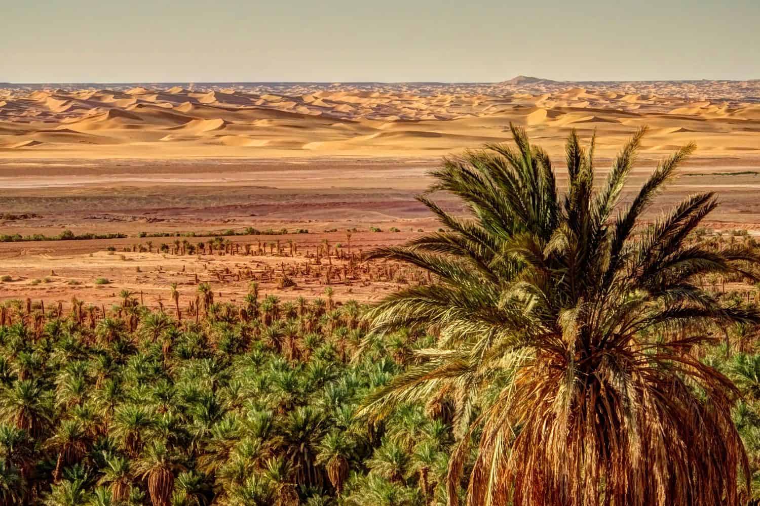 Borders of Algeria Algeria, Geography Geography of Algeria Borders of Algeria