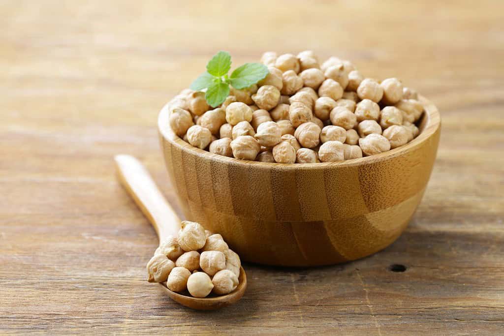 Chickpeas Jordan, Food Chickpeas