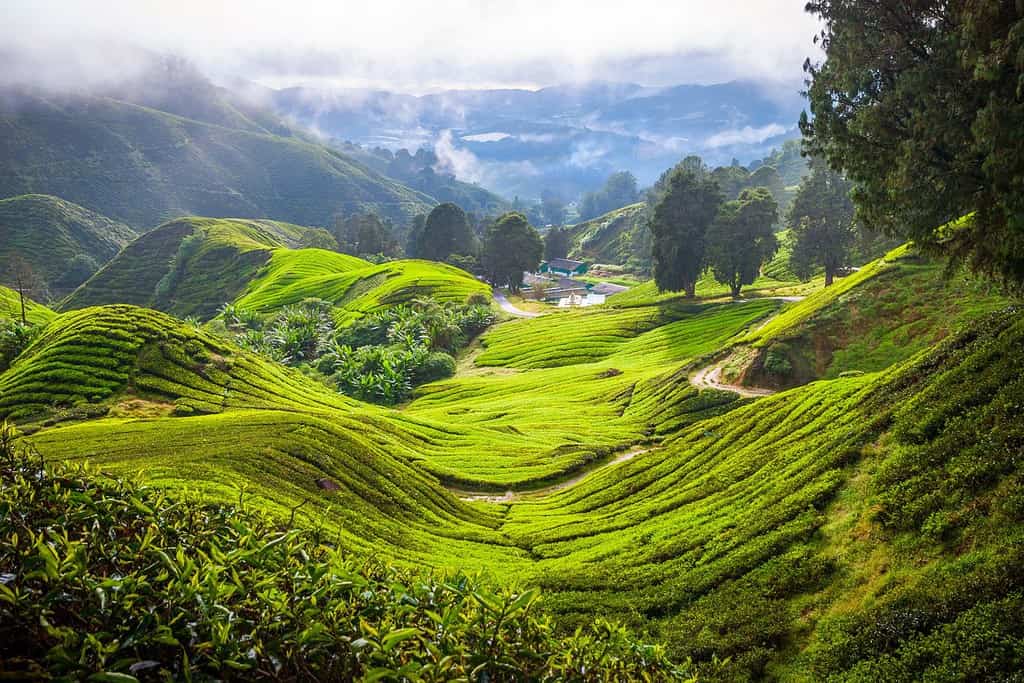 Geography of Malaysia 2 Geography Geography of Malaysia
