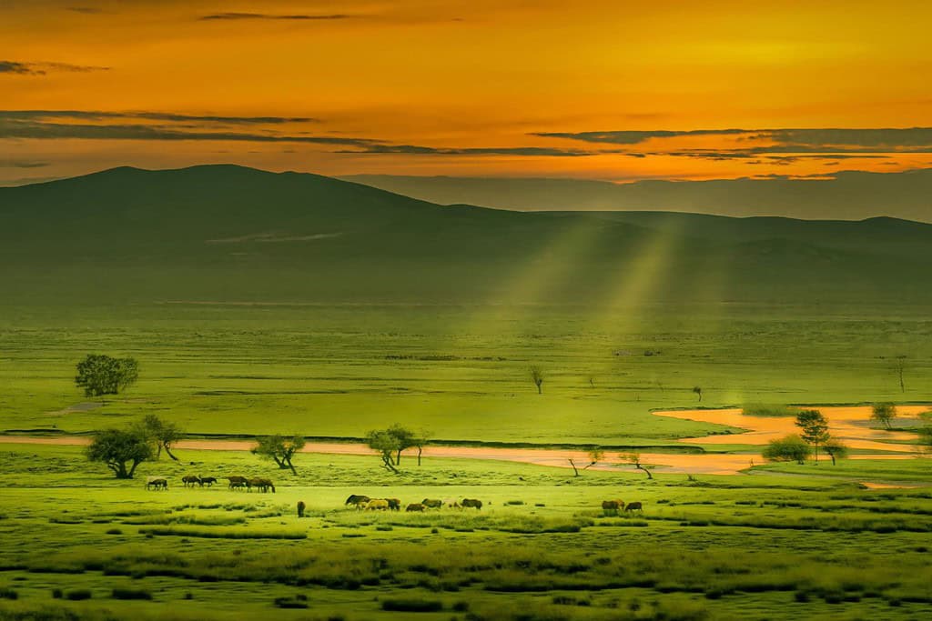 Geography of Mongolia Geography Geography of Mongolia