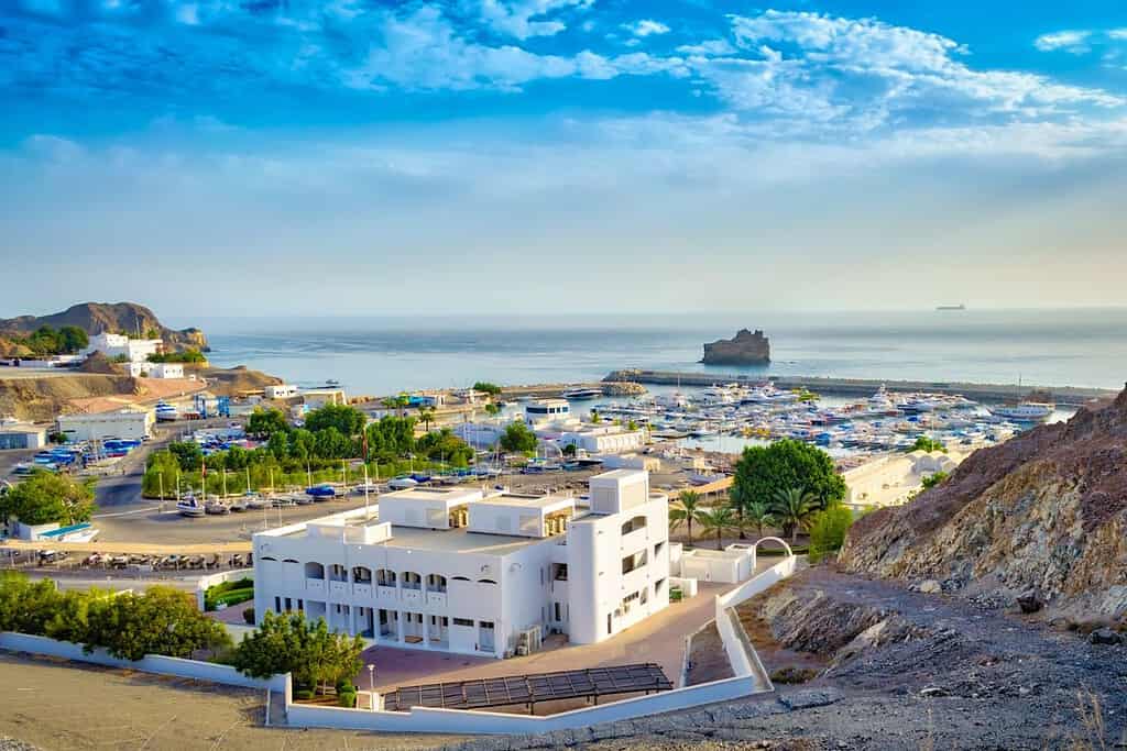 Geography of Muscat Oman Food Food from Oman Geography of Muscat Oman