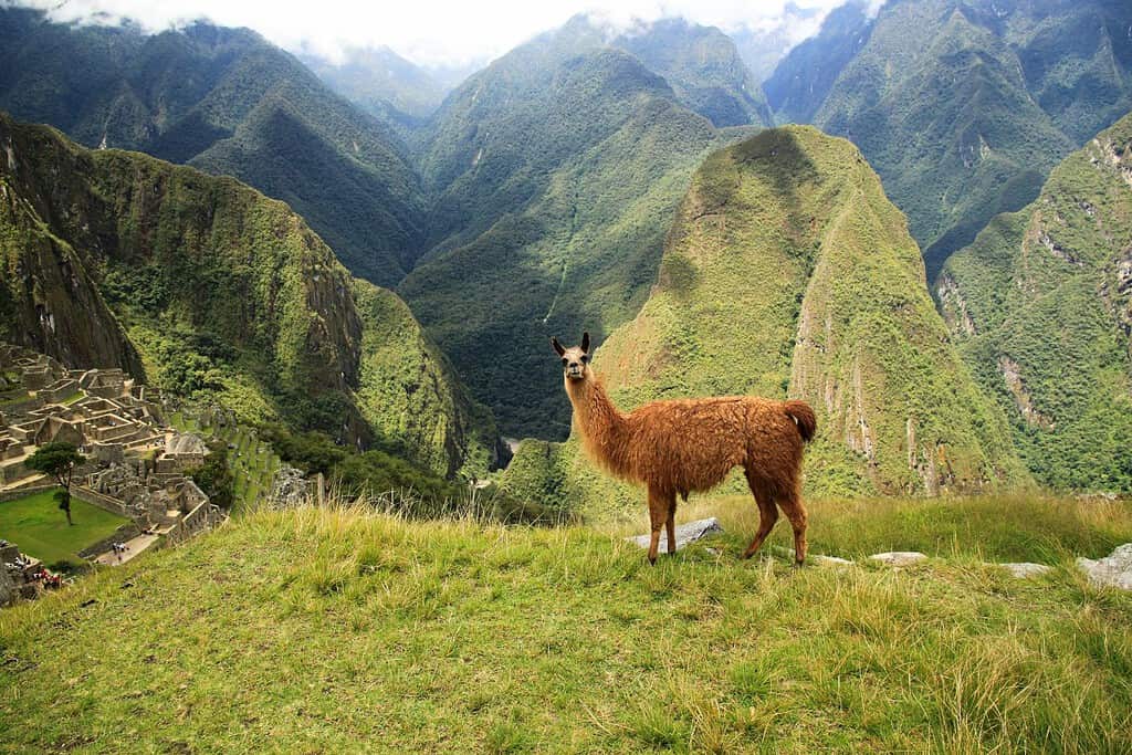 Peru Geography Geography of Peru Peru