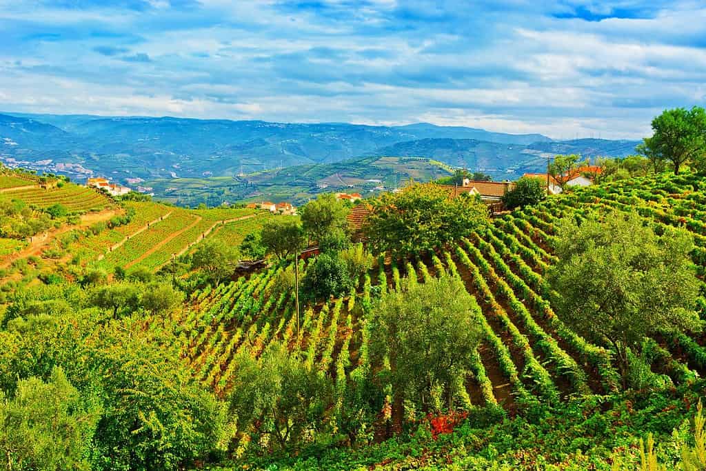 Portugal Geography Geography of Portugal Portugal