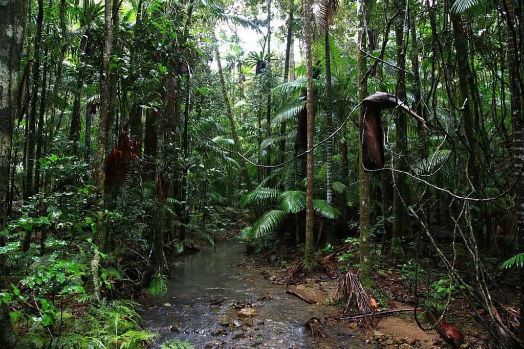 Sierra Leone Geography Geography of Sierra Leone Sierra Leone