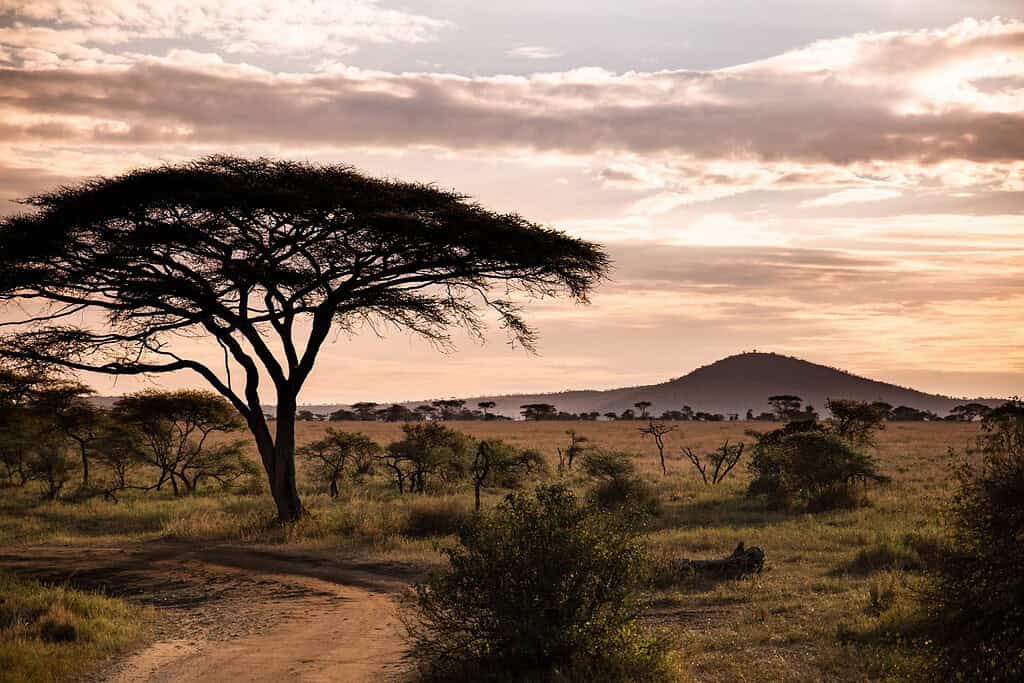 Tanzania 1 Geography Geography of Tanzania Tanzania 1