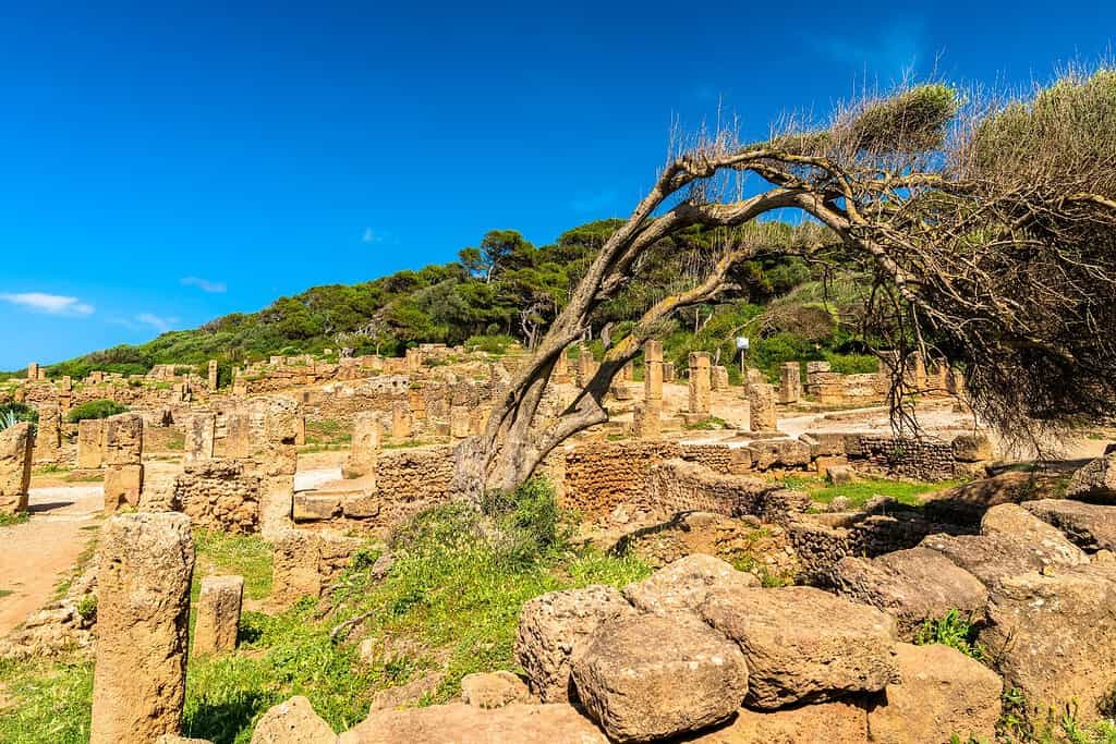 Tipasa Roman Ruins 11 Tipasa Roman Ruins in Algeria Tipasa Roman Ruins 11
