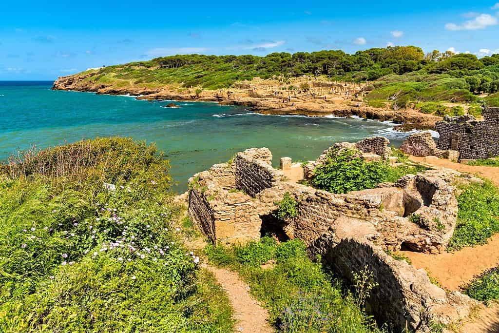Tipasa Roman Ruins 12 Tipasa Roman Ruins in Algeria Tipasa Roman Ruins 12