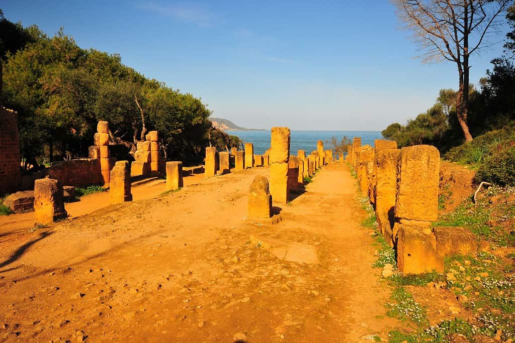 Tipasa Roman Ruins 2 Tipasa Roman Ruins in Algeria Tipasa Roman Ruins 2