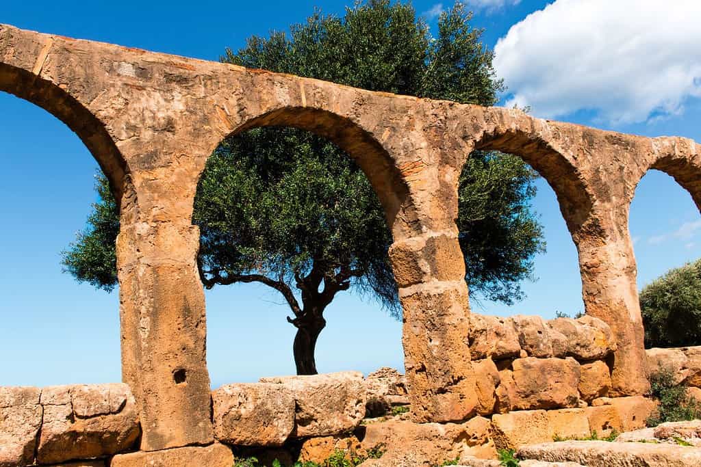 Tipasa Roman Ruins 3 Tipasa Roman Ruins in Algeria Tipasa Roman Ruins 3