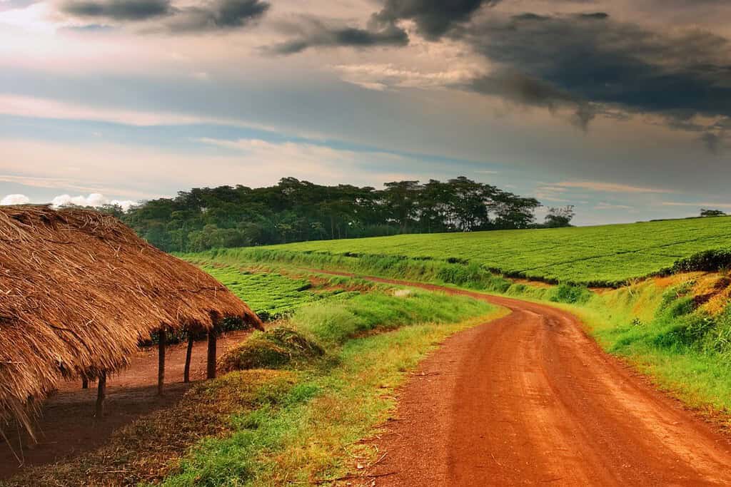 Uganda 2 Geography Geography of Uganda Uganda 2