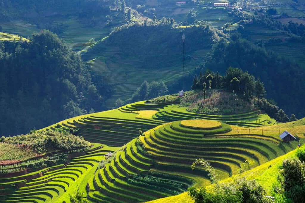 Vietnam Geography Geography of Vietnam Vietnam