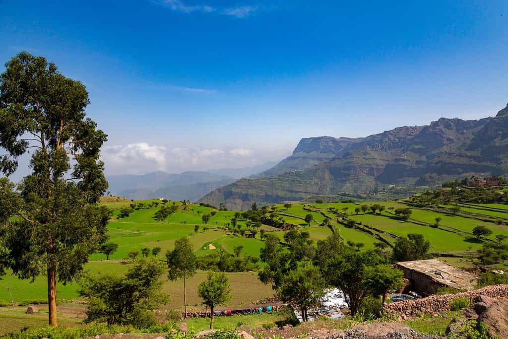 Yemen Yemen, Geography Geography of Yemen Yemen