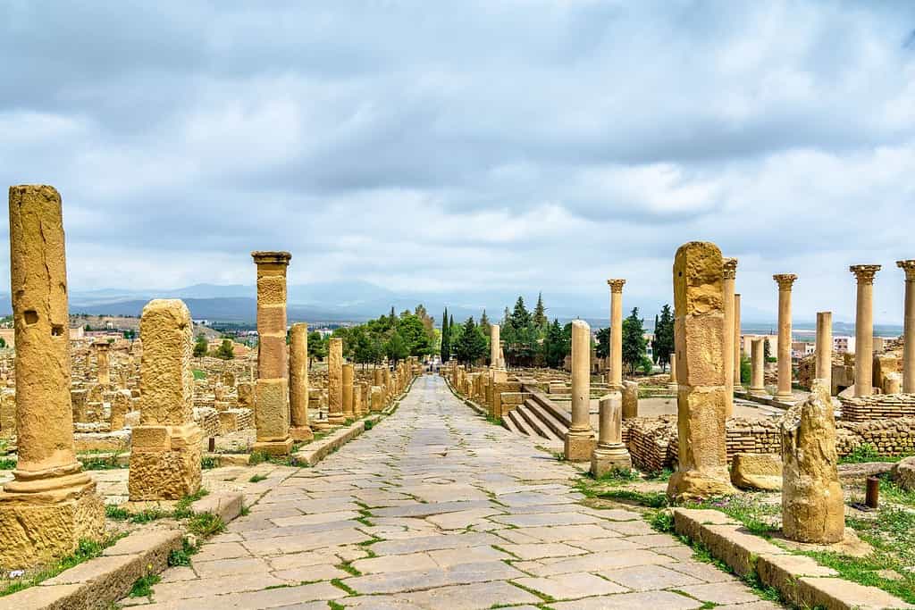 timgad roman ruins algeria 5 Timgad Roman Ruins in Algeria timgad roman ruins algeria 5