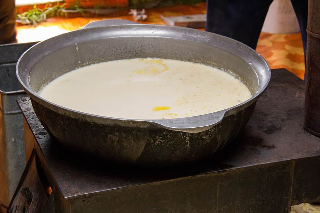 Airag Food Food from Mongolia Airag