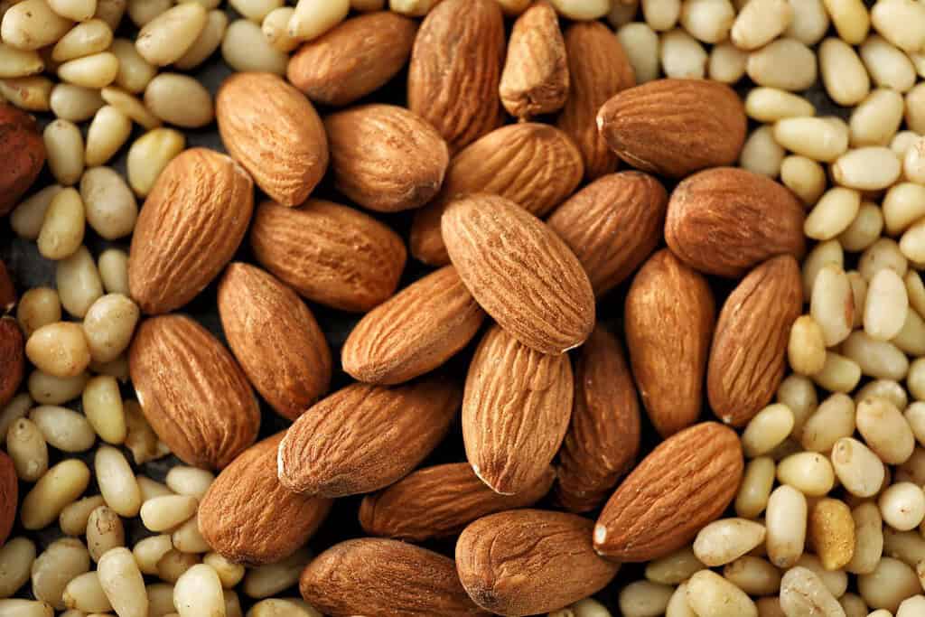 Almonds and Pine Nuts Morocco, Food Food from Morocco Almonds and Pine Nuts