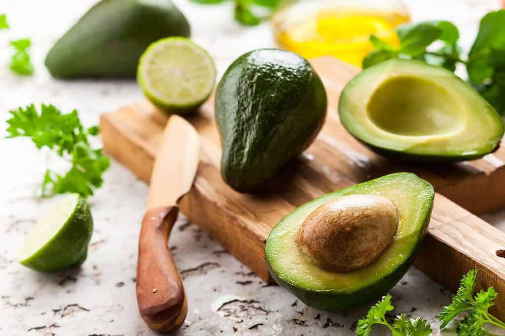 Avocado Food Food from Bolivia Avocado