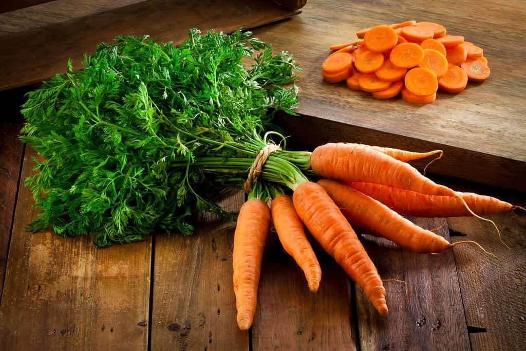 Carrots Food Food from Mongolia Carrots