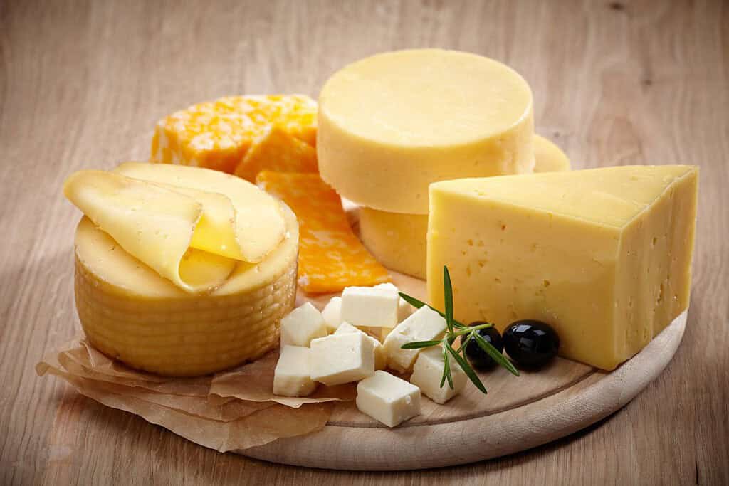 Cheese Bhutan, Food Food from Bhutan Cheese