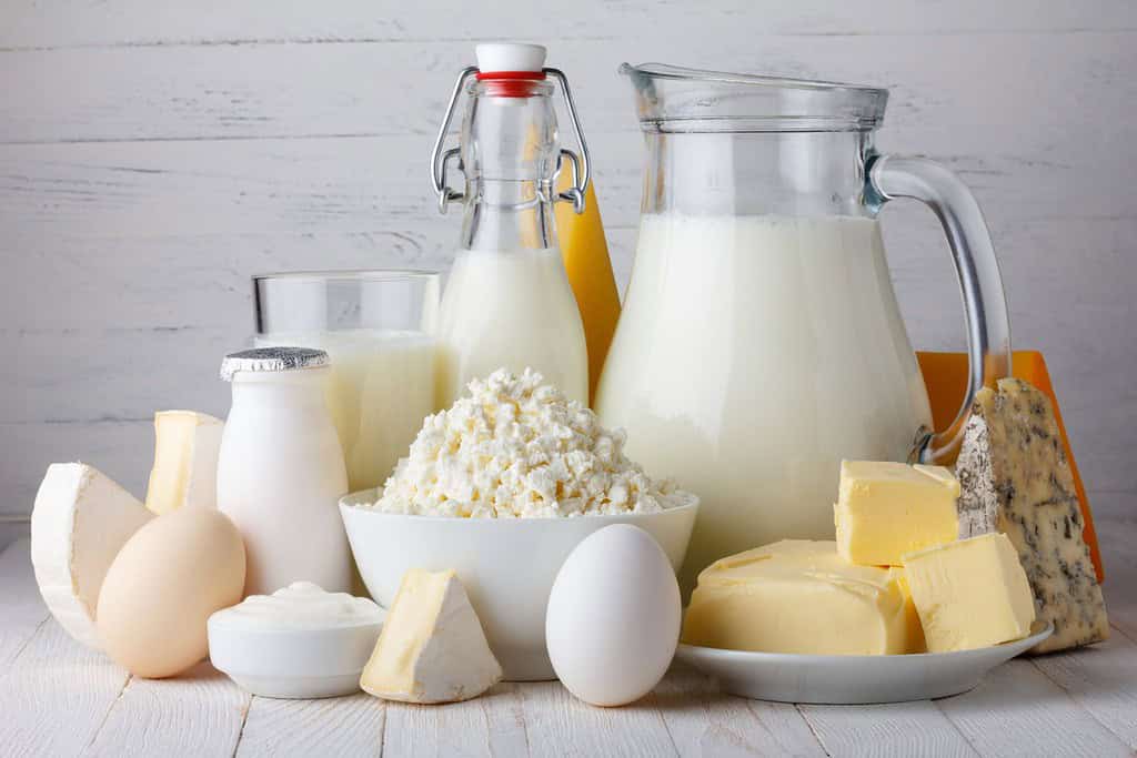 Dairy Products Food Food from Mongolia Dairy Products