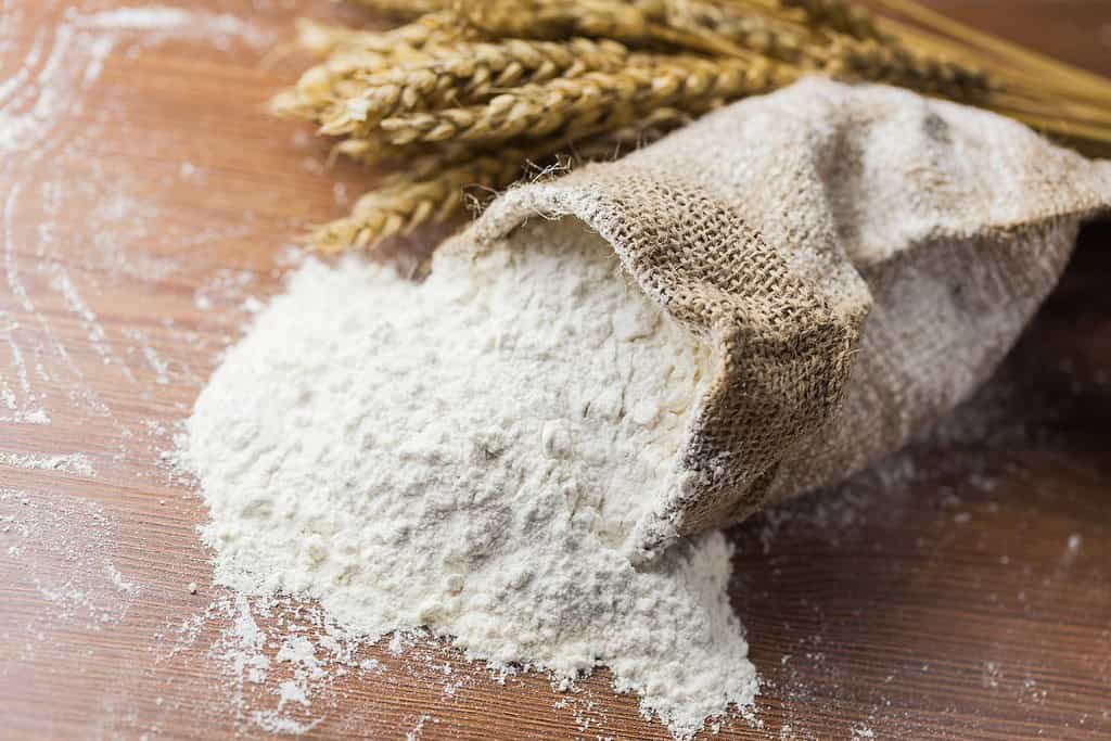 Flour Food Food from Mongolia Flour