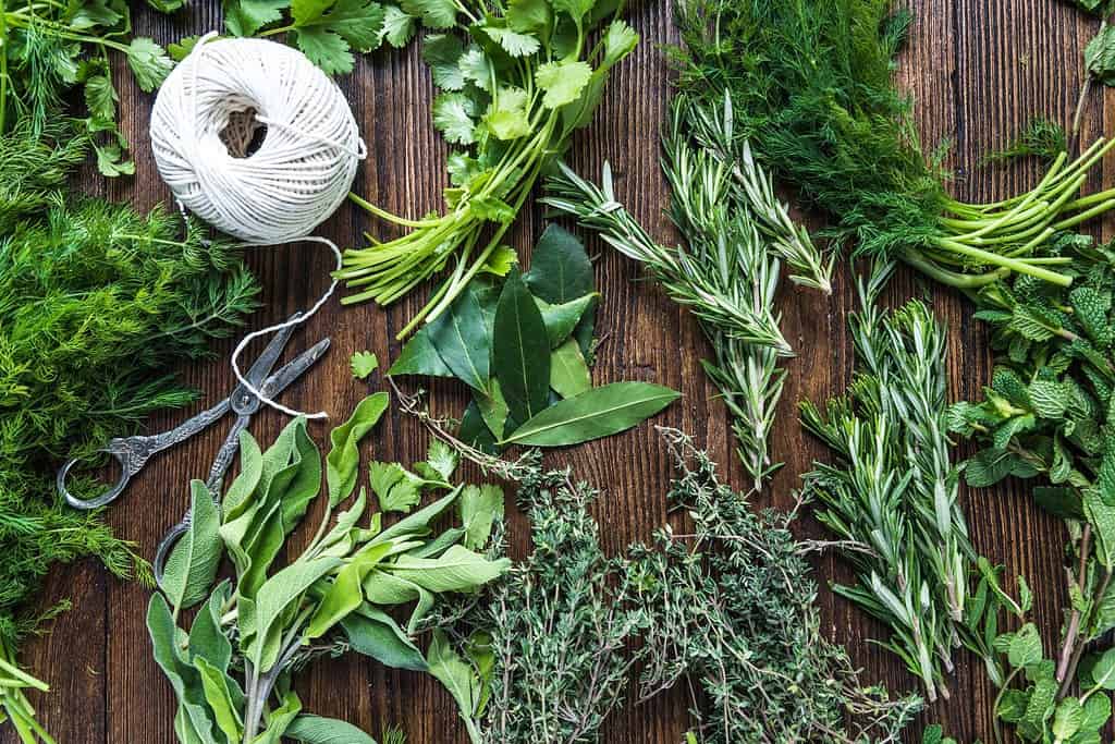 Fresh Herbs Food Fresh Herbs