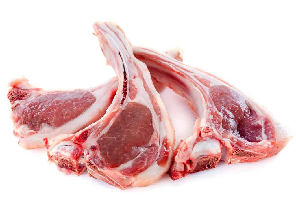 Lamb Jordan, Food Food from Jordan Lamb