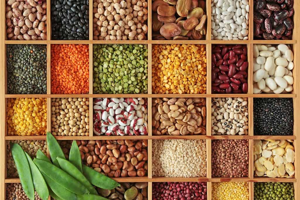 Legumes Food Legumes
